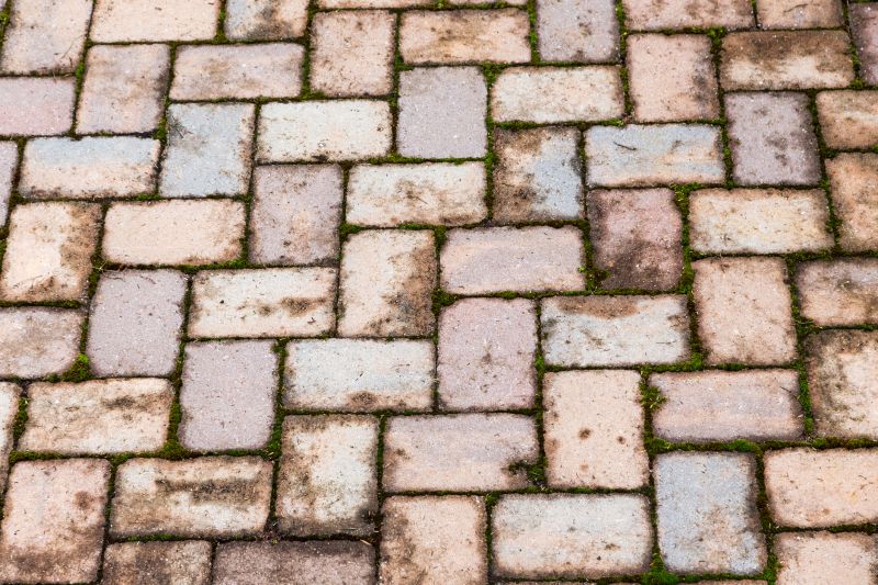 Brick Flatwork Repair in South Lyon, MI
