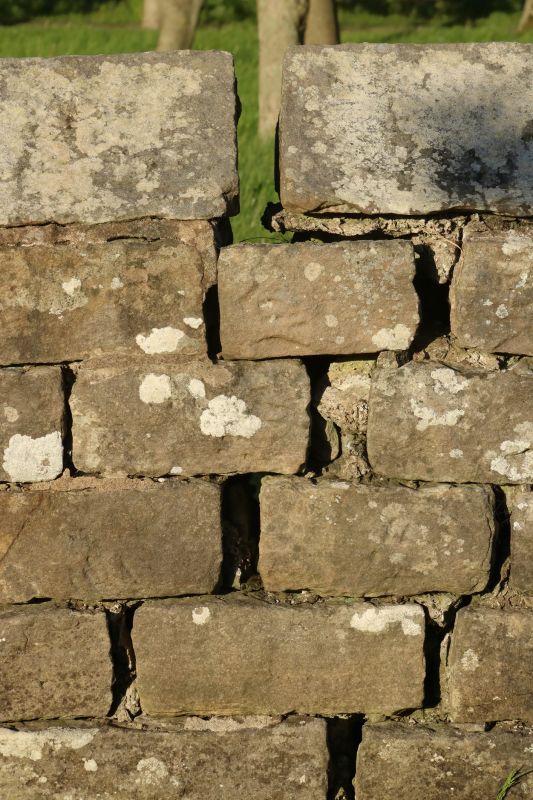 Stone Wall Repair in Dexter, MI